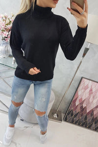 Sweater with a turtleneck 2020 - 16 / – Black цвет / color | Lexline Fashion