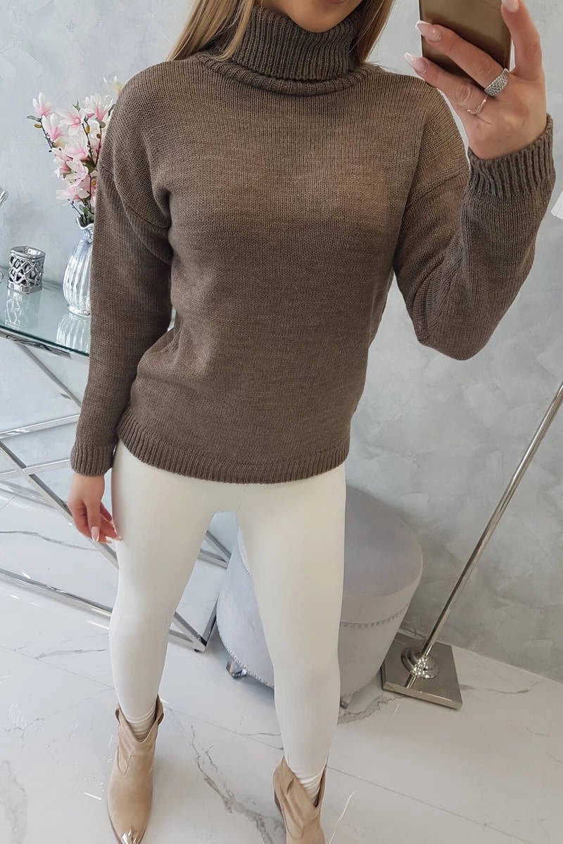 Sweater with a turtleneck 2020 - 16 / – Cappuccino цвет / color | Lexline Fashion